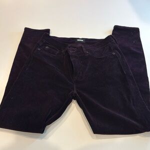 Purple velvet hudson skinny pants